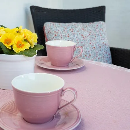 Anemone Mit Bergblick * Braunlage