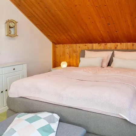 Anemone Mit Bergblick * Braunlage