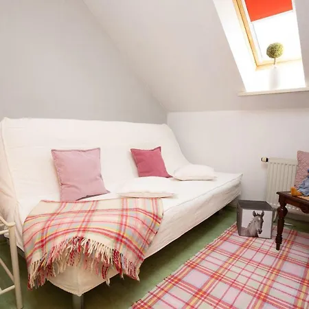 Anemone Mit Bergblick Braunlage