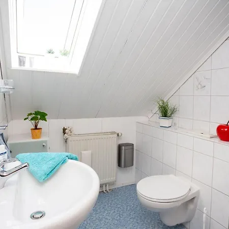 Anemone Mit Bergblick Braunlage